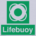 lifebuoy-with-symbol~